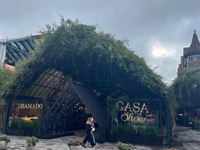 Câmara aprova regularização de rua e homenagem à Planta Gramado