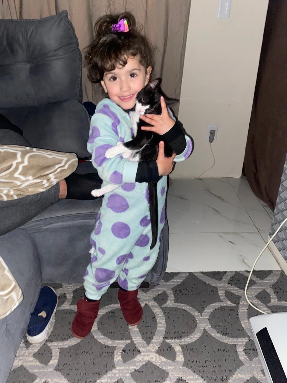 Câmara de Gramado aprova criação do Dia Municipal dos Animais Domésticos