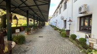 Convivência, carinho e causa animal: Feira no Caminho da Cidadania convida a comunidade a celebrar o Julho Dourado
