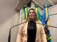 Fernanda Pereira Dias solicita informações sobre a reconstrução da Rua Henrique Bertoluci