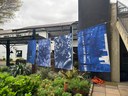 Fotogramas do Cotidiano conecta arte, comunidade e reflexão no Caminho da Cidadania em Gramado