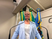 Vereadora Profª Denise solicita melhorias em infraestrutura e limpeza urbana